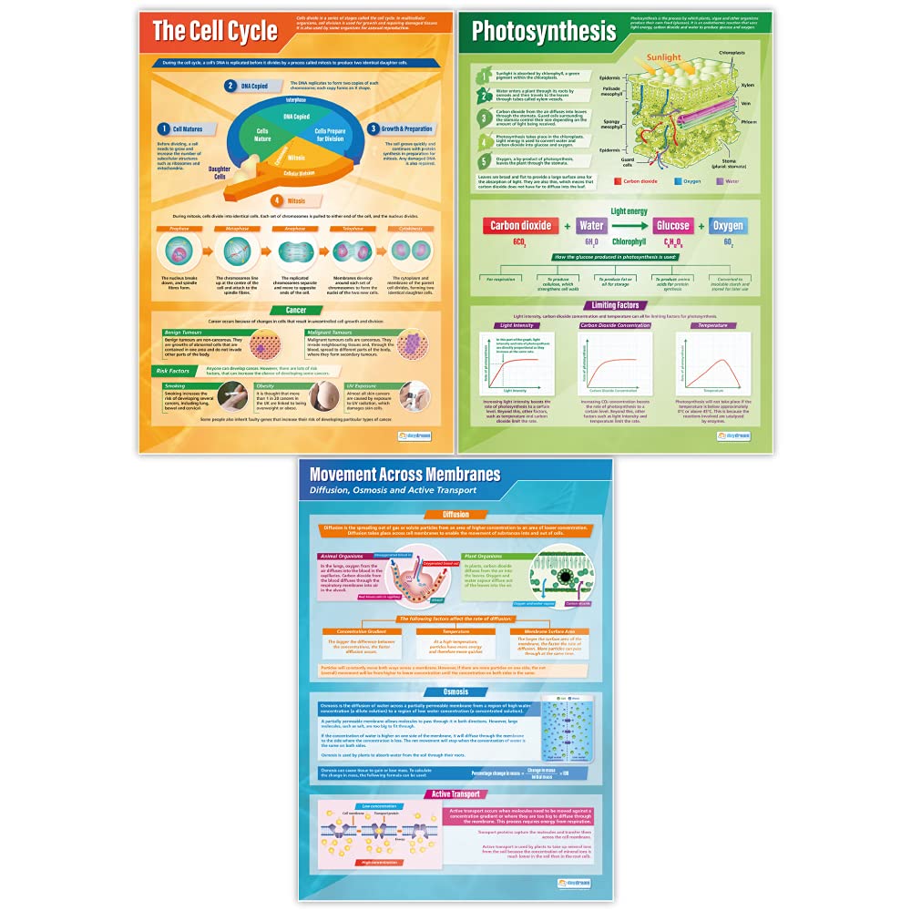 Biology Science Posters - Set of 13 Extra Large 33x23.5 Inch STEM Classroom Decor - High Quality Gloss Paper Wall Charts for Middle & High School - Educational Science Classroom Decorations by Daydream Education - Perfect for Science Labs, Homeschooling & Classroom Learning