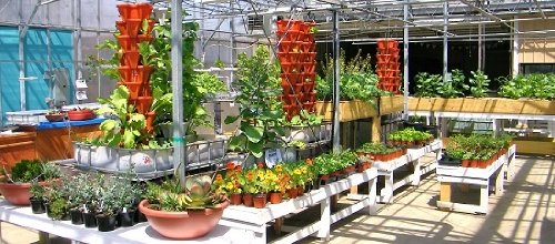 Mr Stacky Vertical Gardening Planters - Stackable Pots for Any Grow Medium (Soil, Hydroton, Perlite) - Hydroponic & Aquaponic System - DIY Container Garden for Indoor/Outdoor Plants - Perfect for Small Spaces, Balconies & Urban Gardening