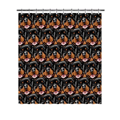 Rottweiler-2