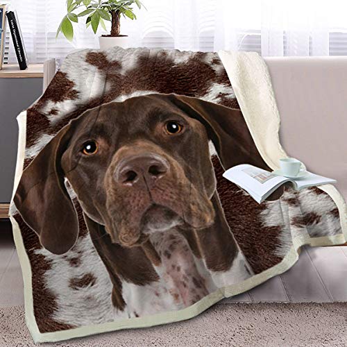 German Shorthaired Dog