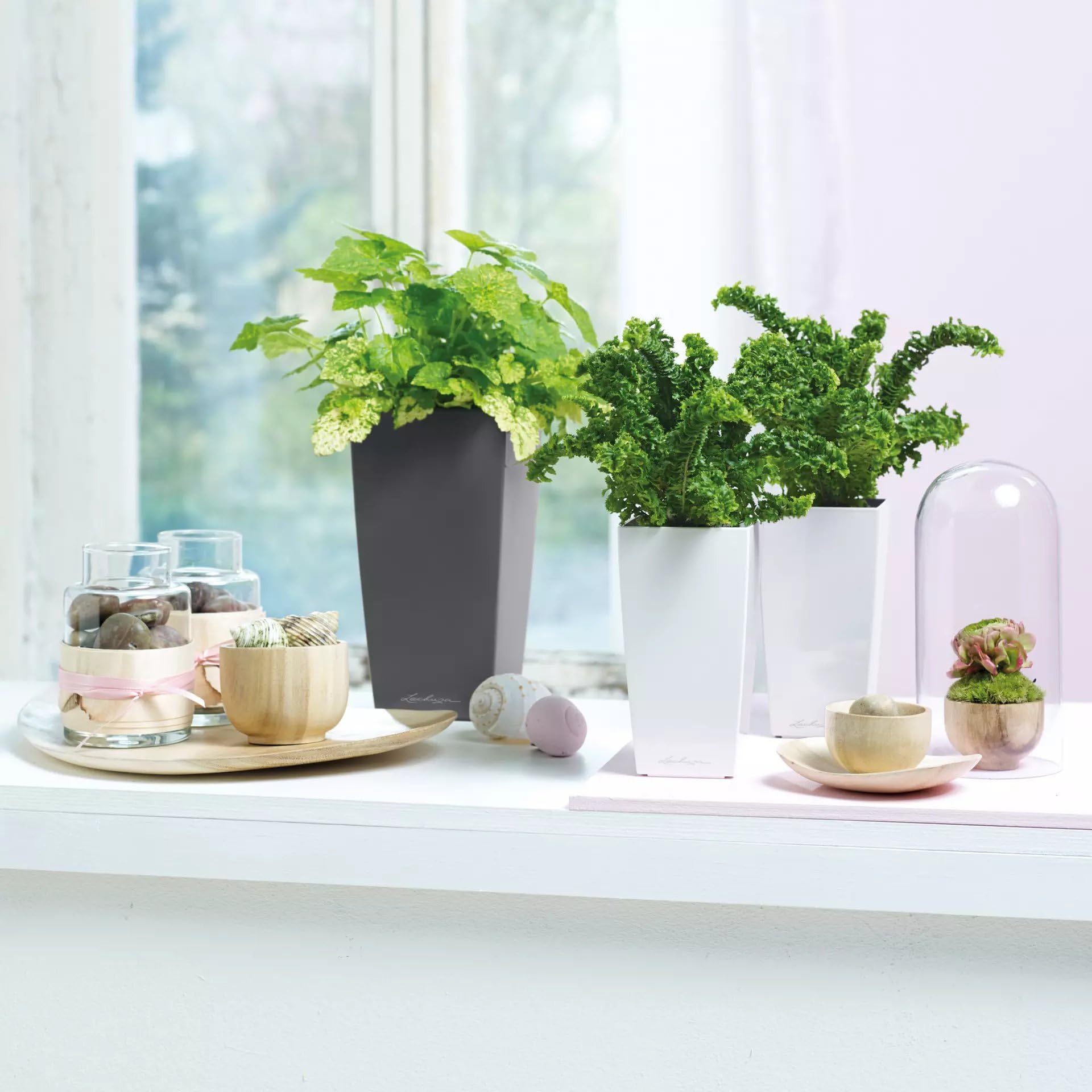 Lechuza Cubi Premium 9 Self-Watering Planter with Water Level Indicator - Mini White High-Gloss Flower Pot for Indoor Plants, Succulents & Herbs | Perfect for Home, Office & Balcony Decor