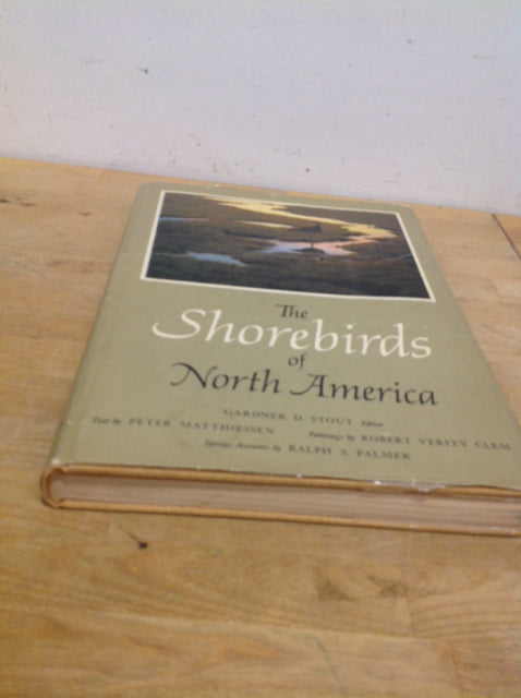 Shorebirds of North America - Stunning Coffee Table Book for Bird Lovers | Perfect for Home Decor, Gifts & Nature Enthusiasts