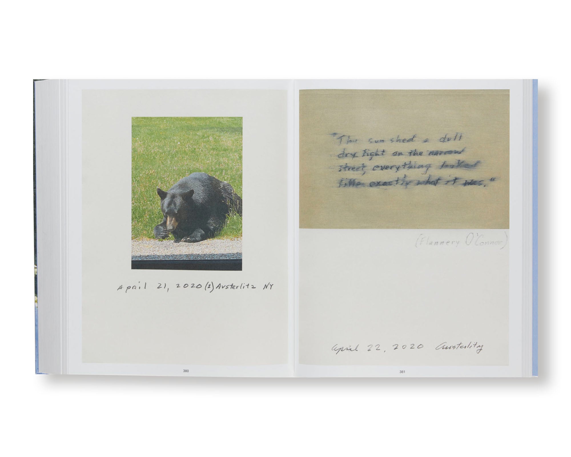 LOG by Roni Horn - Special Edition Art Book | Contemporary Photography Collection | Perfect for Art Lovers, Collectors & Home Decor
