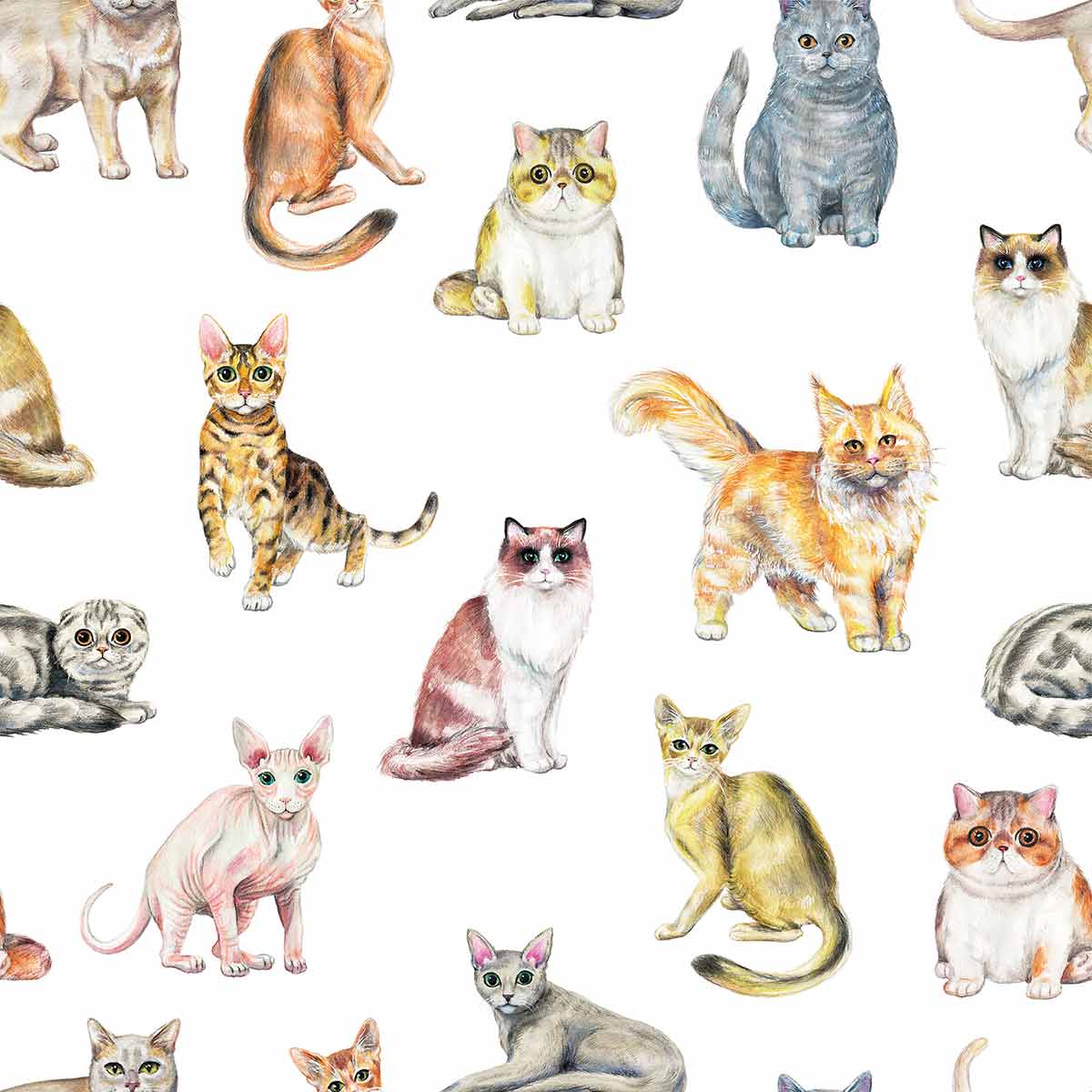 Orange Cat Peel and Stick Removable Wallpaper - Self-Adhesive Decorative Wall Covering for Bedroom, Nursery, Office - Easy to Apply & Remove (Design 6942)