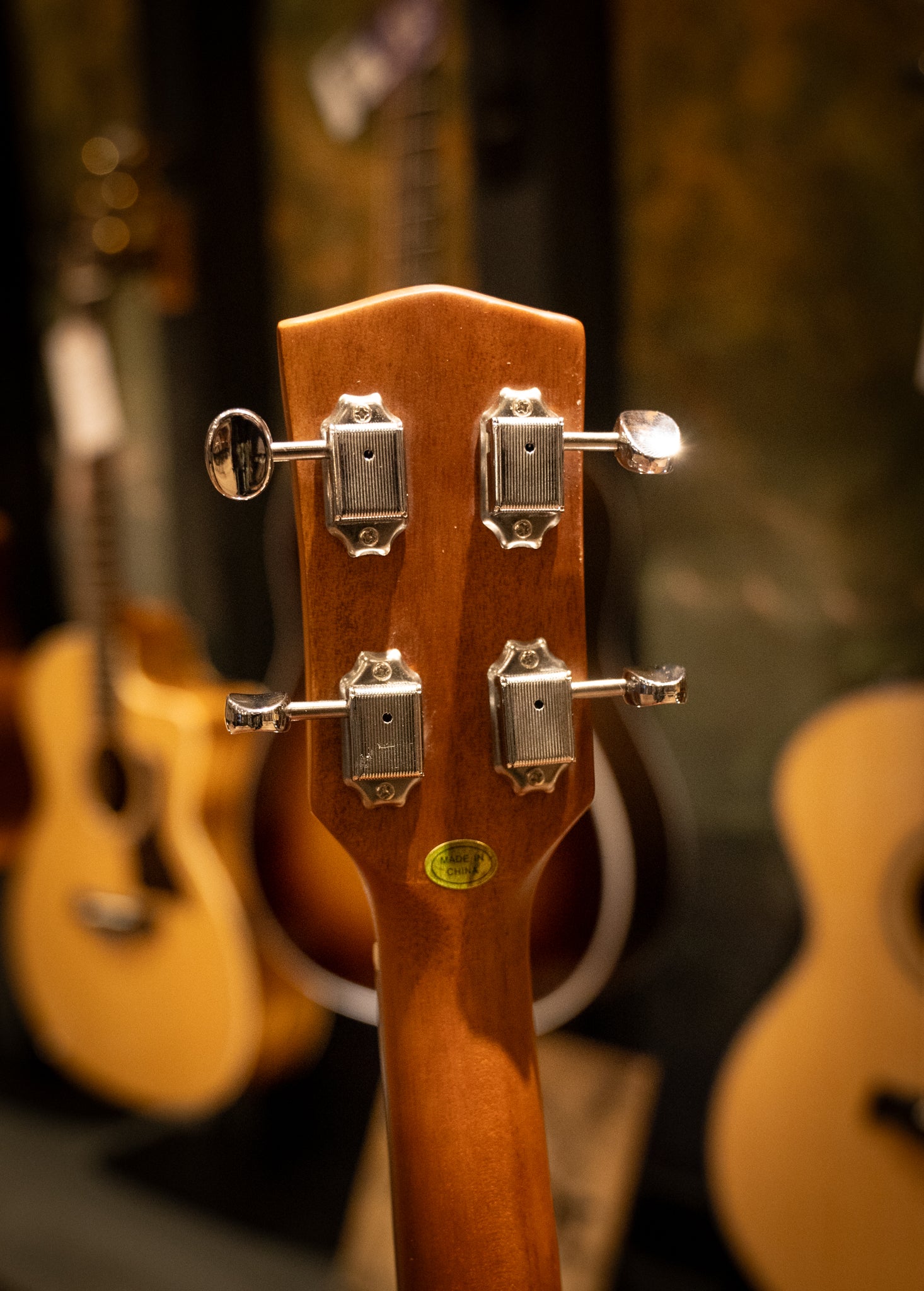 Gold Tone I TG 10 Tenor Guitar with Gig Bag - Professional 4-String Acoustic Instrument for Folk, Jazz & Celtic Music (SN: 22310695) - Perfect for Performances, Recording & Travel