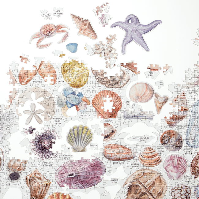 Galison The Beachcomber's Companion 1000-Piece Shaped Puzzle - Premium Jigsaw Puzzle for Adults & Teens - Perfect for Family Game Night & Relaxation