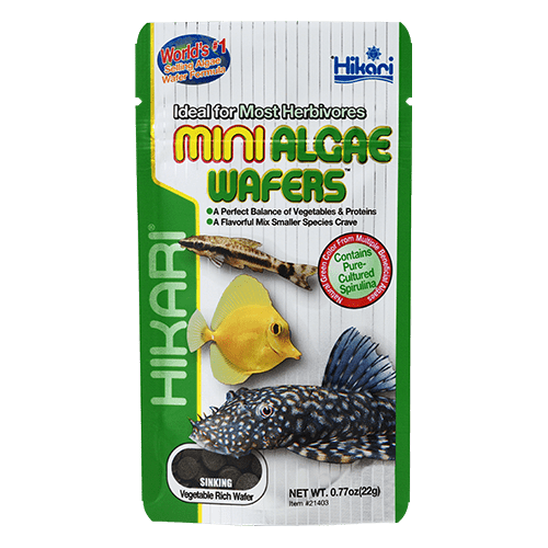 Hikari Tropical Mini Algae Wafers - Premium Fish Food for Tropical Fish, Herbivores & Bottom Feeders - Perfect for Aquariums, Tanks & Ponds