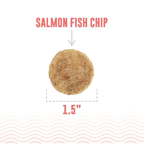 Premium Icelandic Salmon Fish Chips Dog Treats - All-Natural, Grain-Free Snacks for Dogs - Perfect for Training, Rewards & Dental Health
