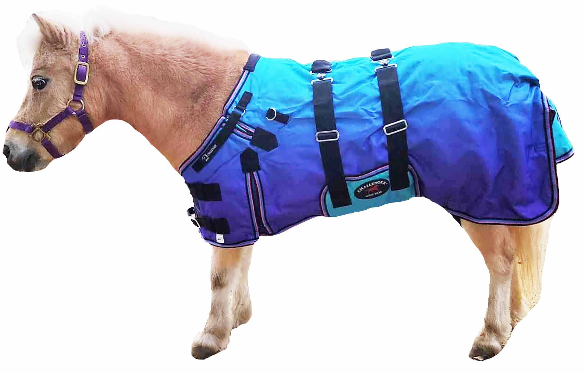 Challenger 1200D Miniature Weanling Pony Foal Horse Winter Blanket with Bellyband - Warm & Waterproof Stable Blanket for Cold Weather Protection - Perfect for Foals, Ponies & Mini Horses in Winter Stalls or Pastures
