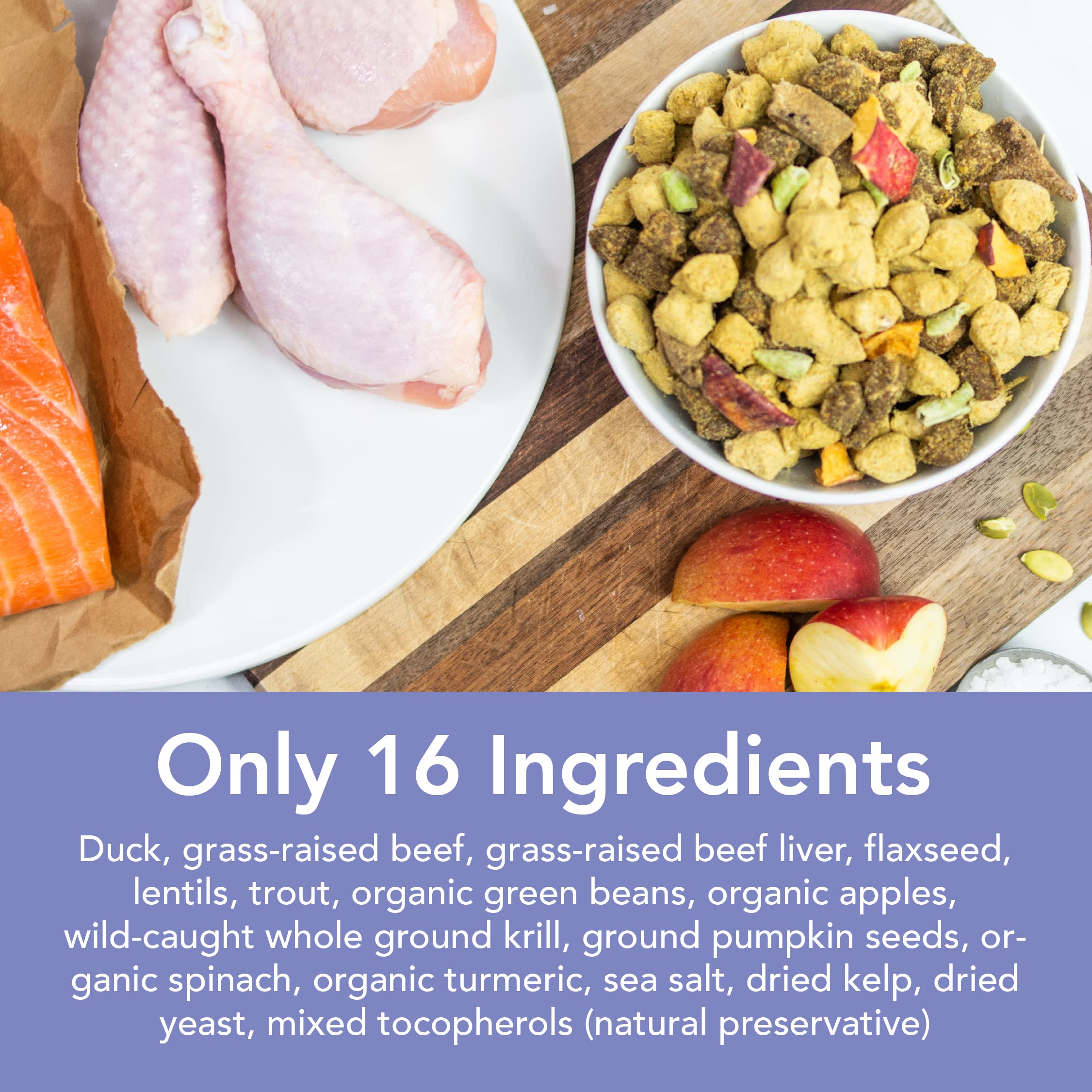 Premium Freeze-Dried Raw Dog Food - Duck & Trout Recipe - Grain-Free, High Protein - 48oz for Small & Large Breeds - Perfect for Travel, Hiking & Training Treats