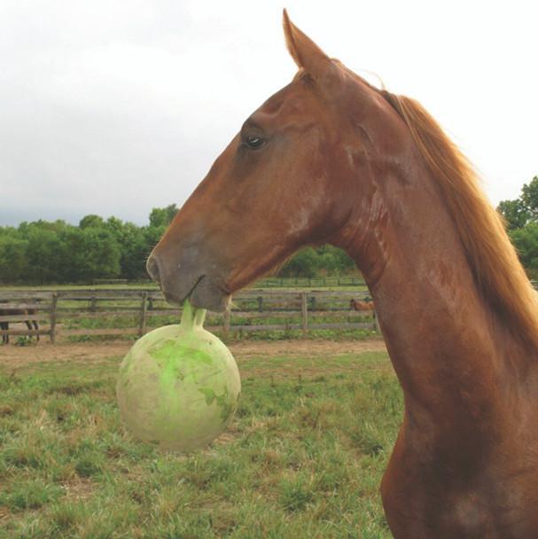 Jolly Ball with Handle 10