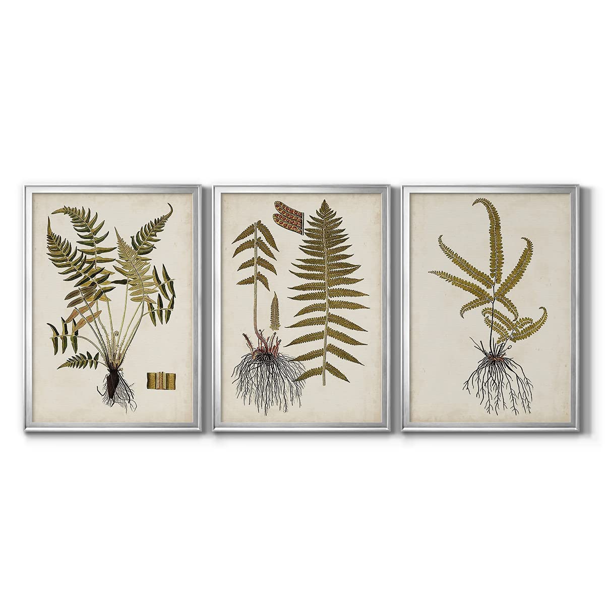 Renditions Gallery Wall Art Set - 3 Piece Silver Framed Canvas with Animals, Floral & Fern Botanical Designs - Modern Kitchen Décor & Eclectic Home Decor - 22x30 Inches Each Panel - Perfect for Living Room, Bedroom & Office Wall Decor