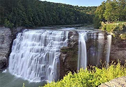 Style: State Park #Te2