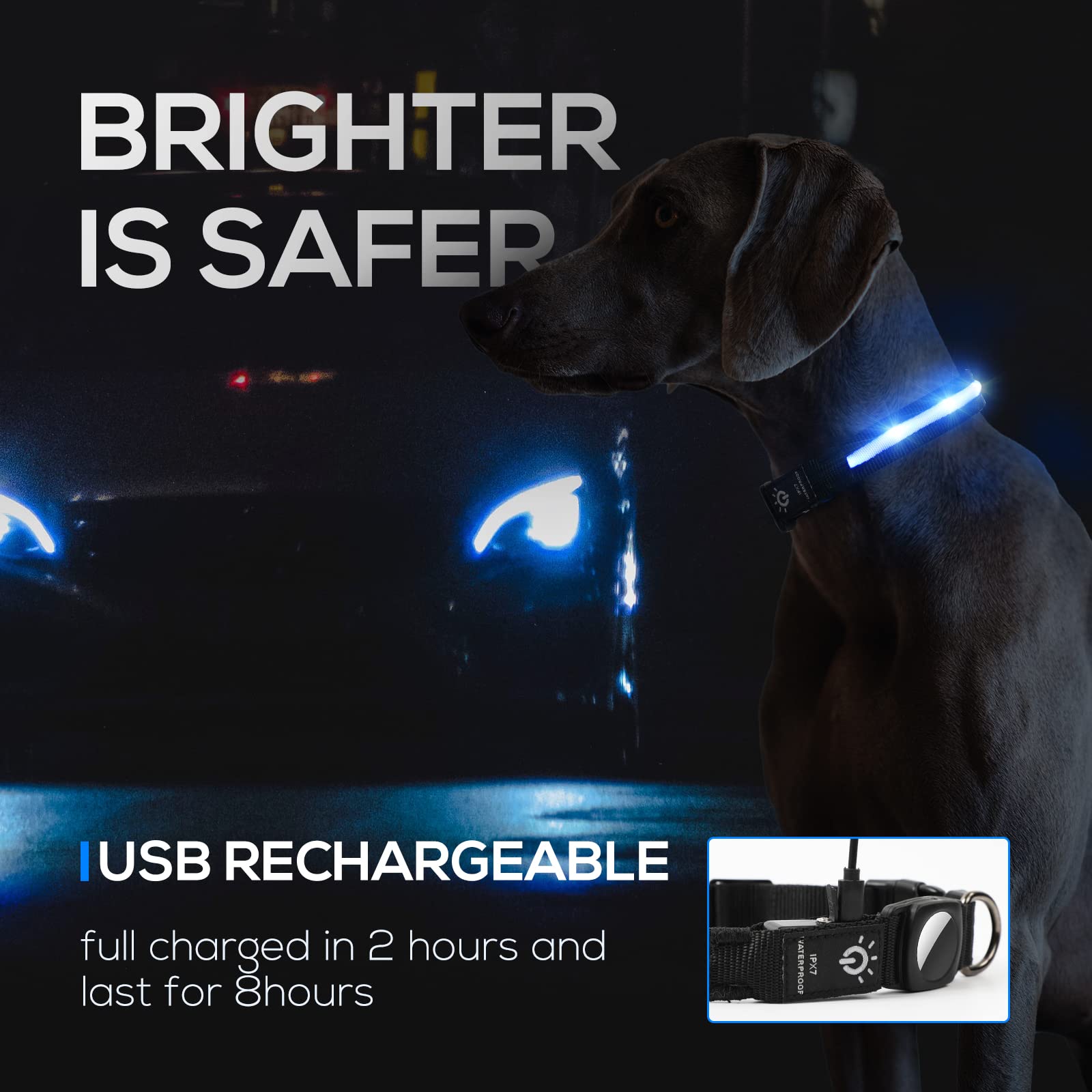 LED AirTag Dog Collar with Light - IPX7 Waterproof Rechargeable Light Up Collar with Apple AirTag Holder for Small Medium Large Dogs | Perfect for Night Walks, Pet Safety & Tracking