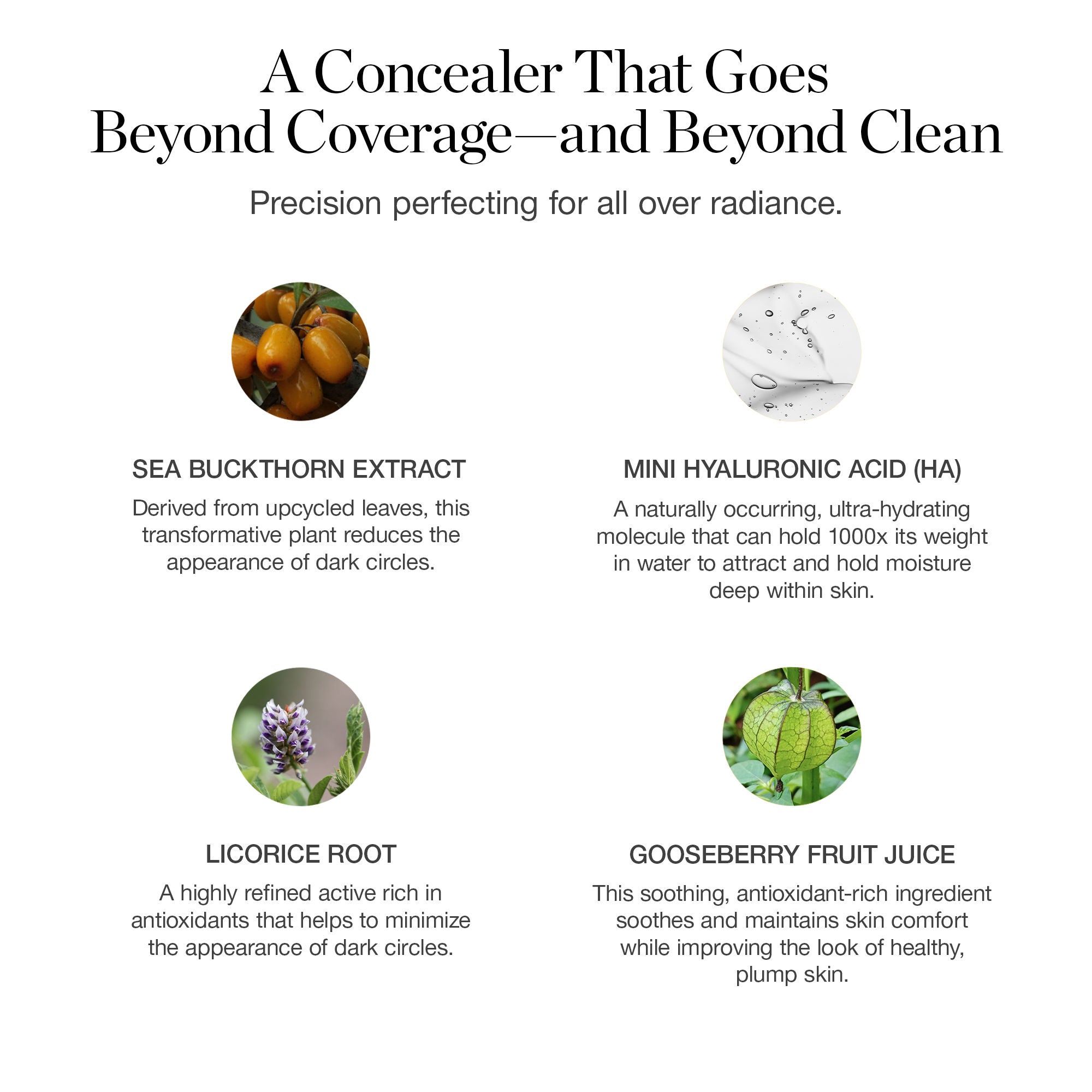Flawless Complexion Perfecting Concealer - Full Coverage, Long Lasting, Crease-Free - Ideal for Dark Circles, Blemishes & Under Eye Brightening - Perfect for Everyday Makeup & Special Occasions