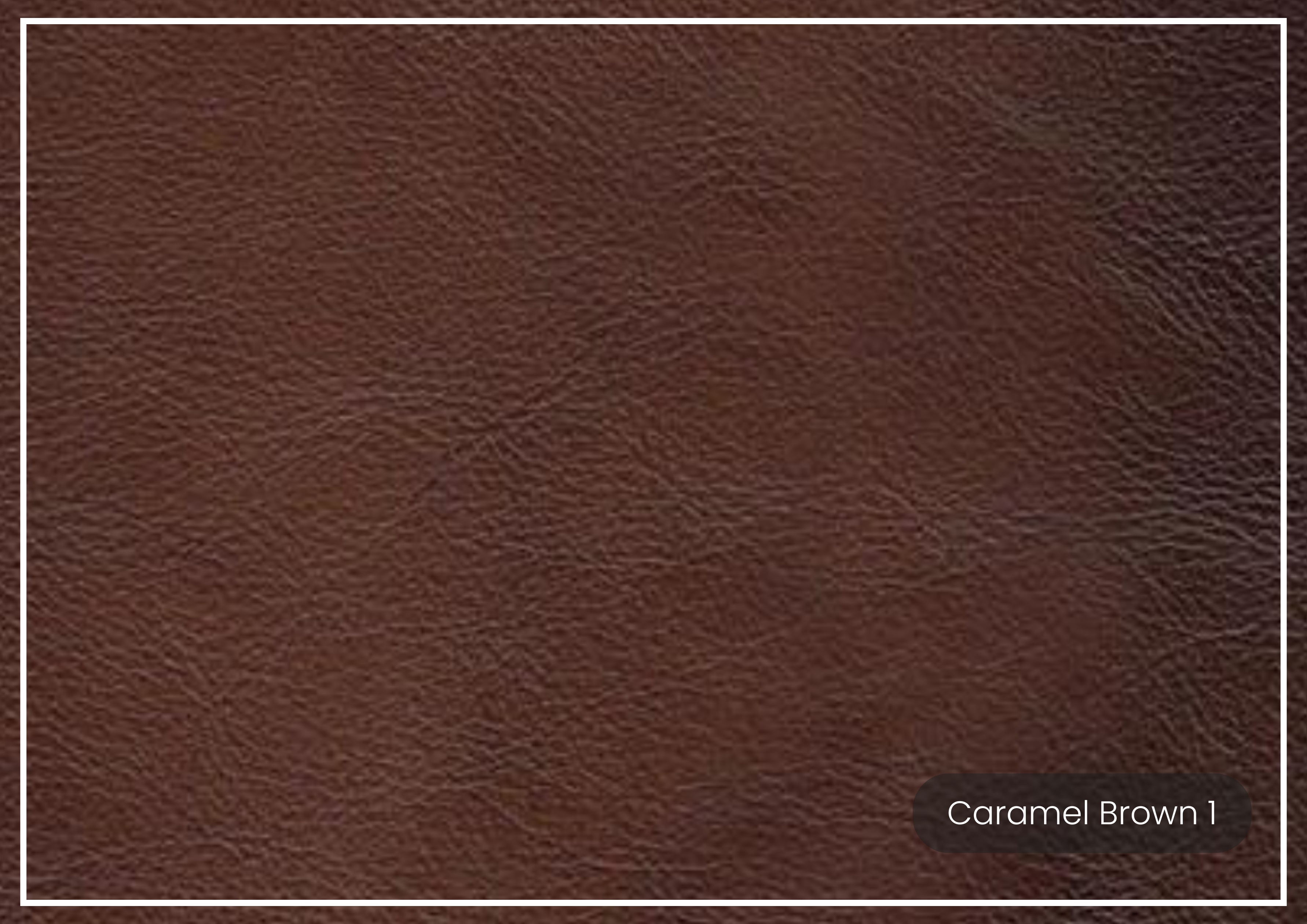 Premium Hydeline Alton Bay Leather Loveseat with Nailhead Trim - Genuine Leather Sofa for Living Room, Office & Lounge Comfort