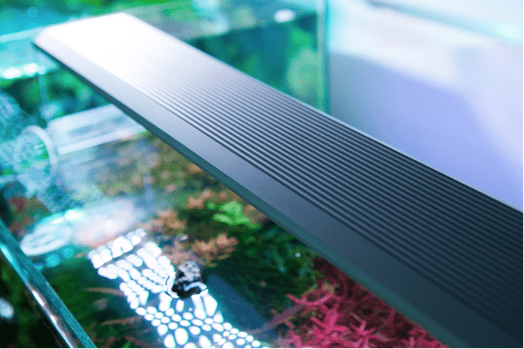 Chihiros LED RGB A+ Aquarium Light - Full Spectrum Plant Growth Light for Freshwater Tanks, Energy Efficient & Adjustable Brightness - Perfect for Aquatic Plants, Fish Tanks, and Reef Aquariums