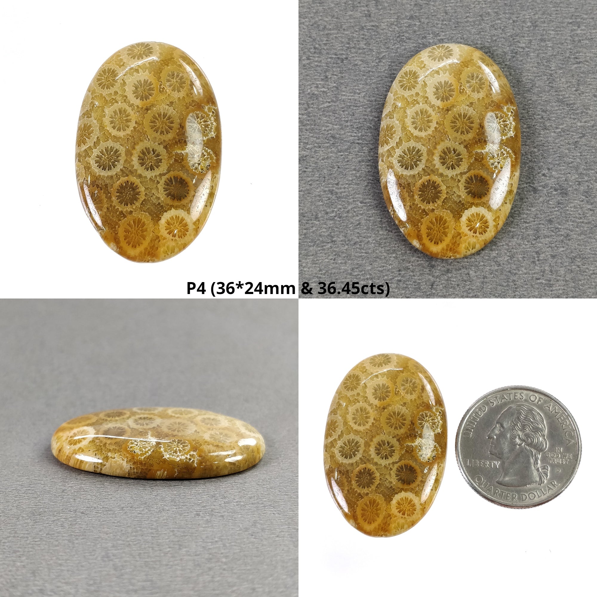 Natural Untreated FOSSIL Coral Gemstone Cabochon - Unheated Oval Cushion Shape for Jewelry Making, Wire Wrapping & Healing Crystal Collection