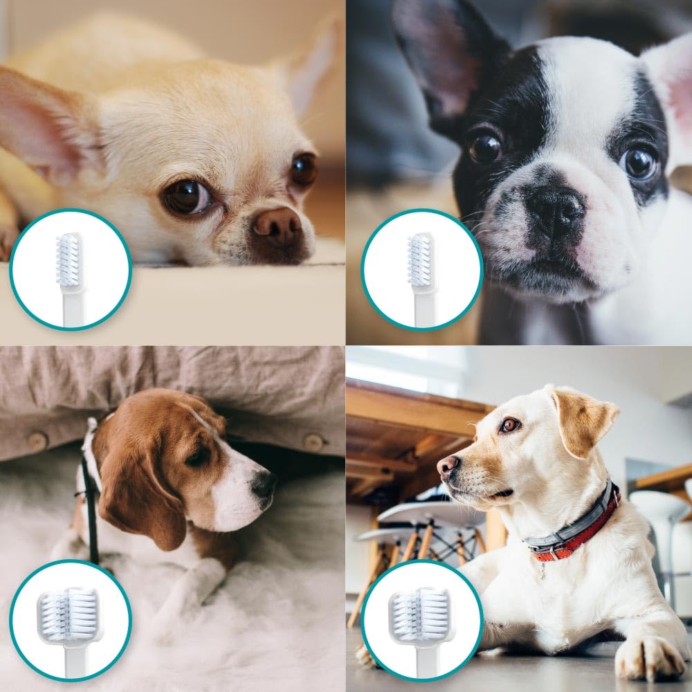 Cleany Teeth Toothbrush for Dogs Starter Kit - Gentle Dental Care for Small & Large Breeds - Perfect for Daily Oral Hygiene & Fresh Breath at Home