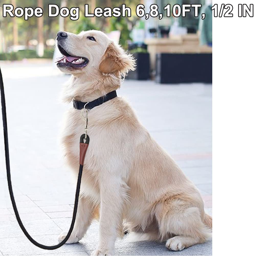 6 FT/8 FT/10 FT Heavy Duty Nylon Dog Leash - 1/2