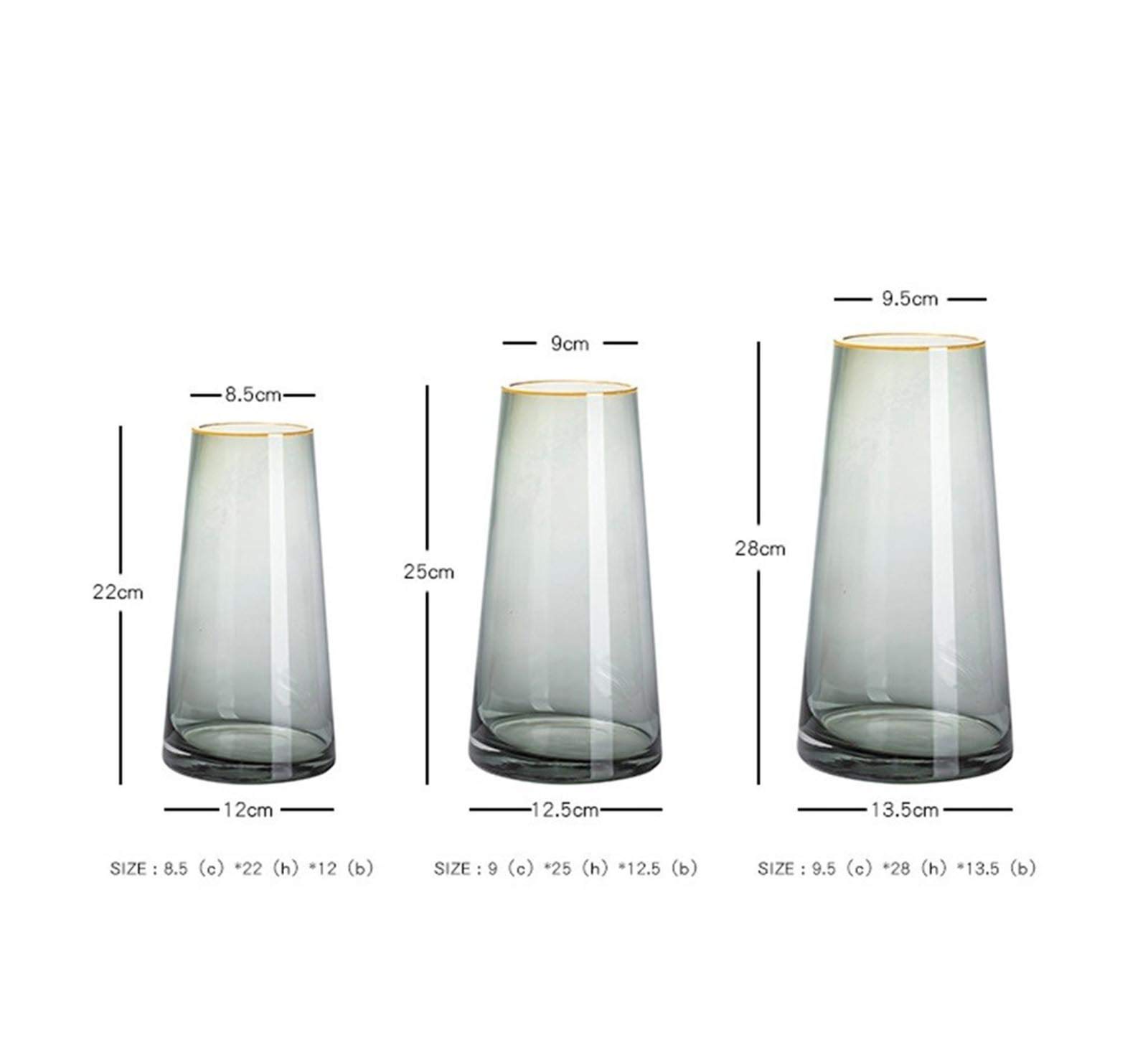 Multifunctional Hydroponic Glass Vase - 3.75 Inch Thickened Transparent Cone Flower Vase for Plants, Herbs & Home Decor | Perfect for Windowsill, Office Desk & Kitchen Herb Garden