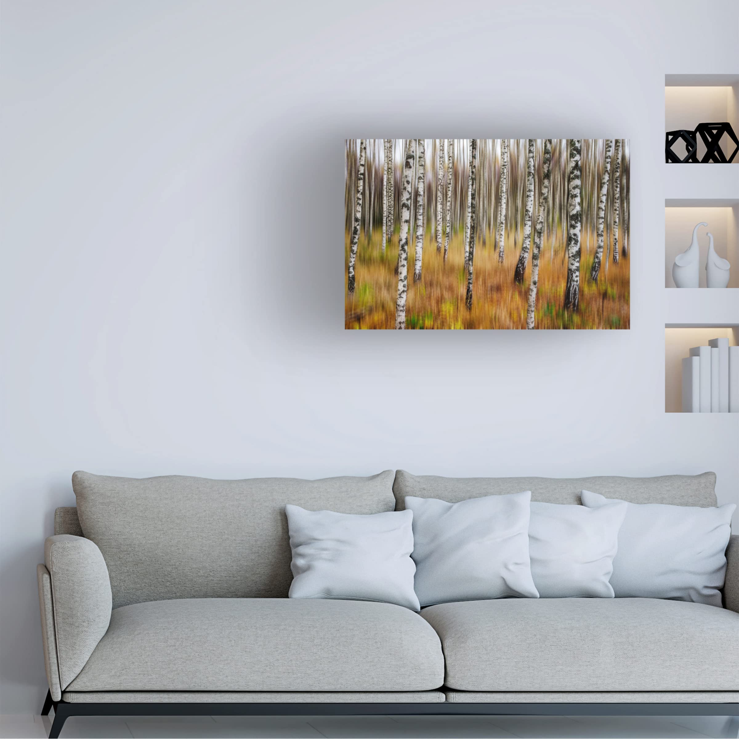 Trademark Fine Art '3D Birches' Canvas Wall Art by Par Söderman - Stunning Nature Landscape Painting for Living Room, Bedroom & Office Decor