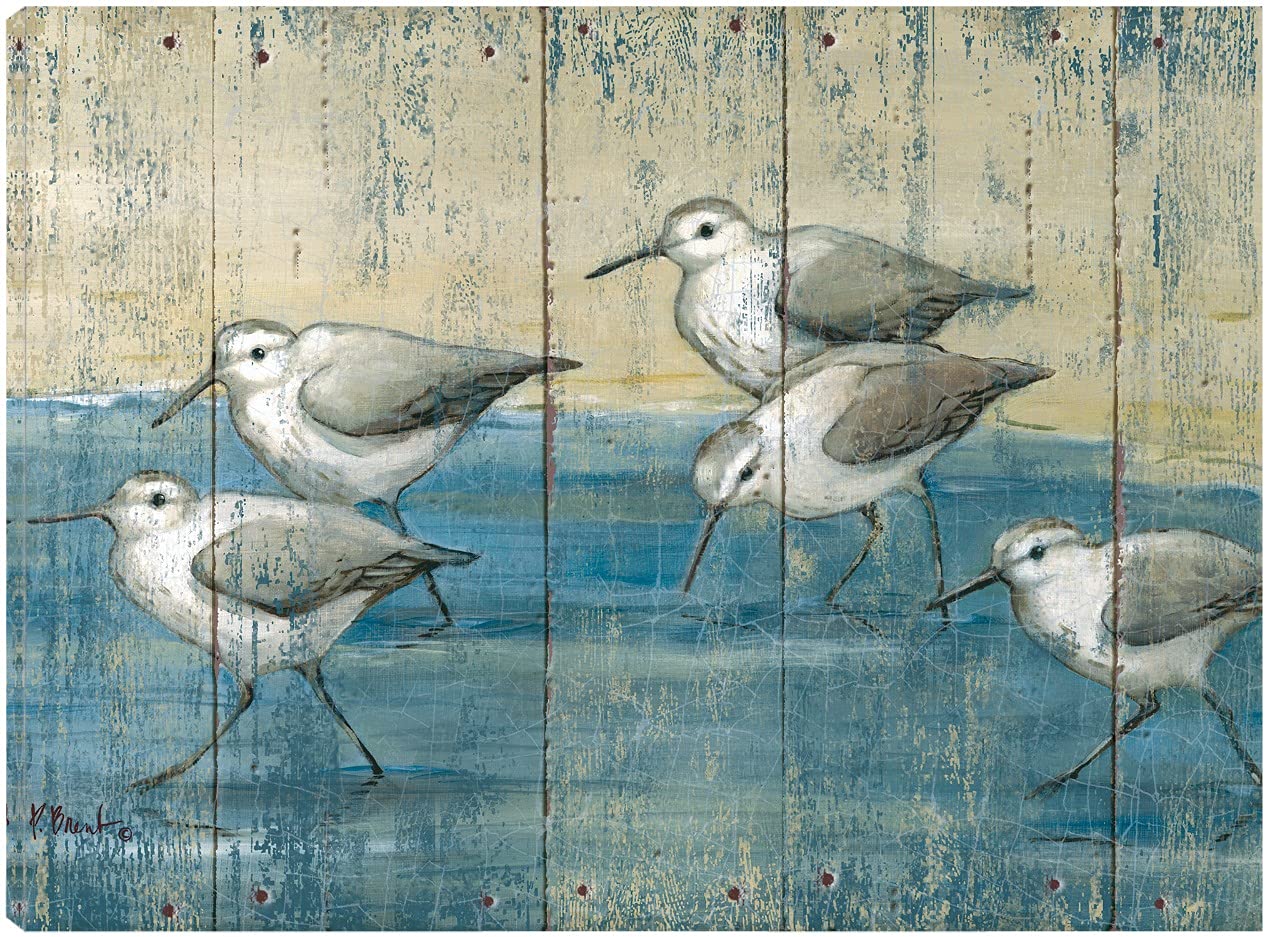Paul Brent Sandpipers Fine Art Canvas Wall Decor - 32x24 Inch Wood Canvas Painting for Living Room, Bedroom, Office - Ready to Hang - Coastal & Nature Inspired Home Decor for Beach House, Cottage & Modern Interiors