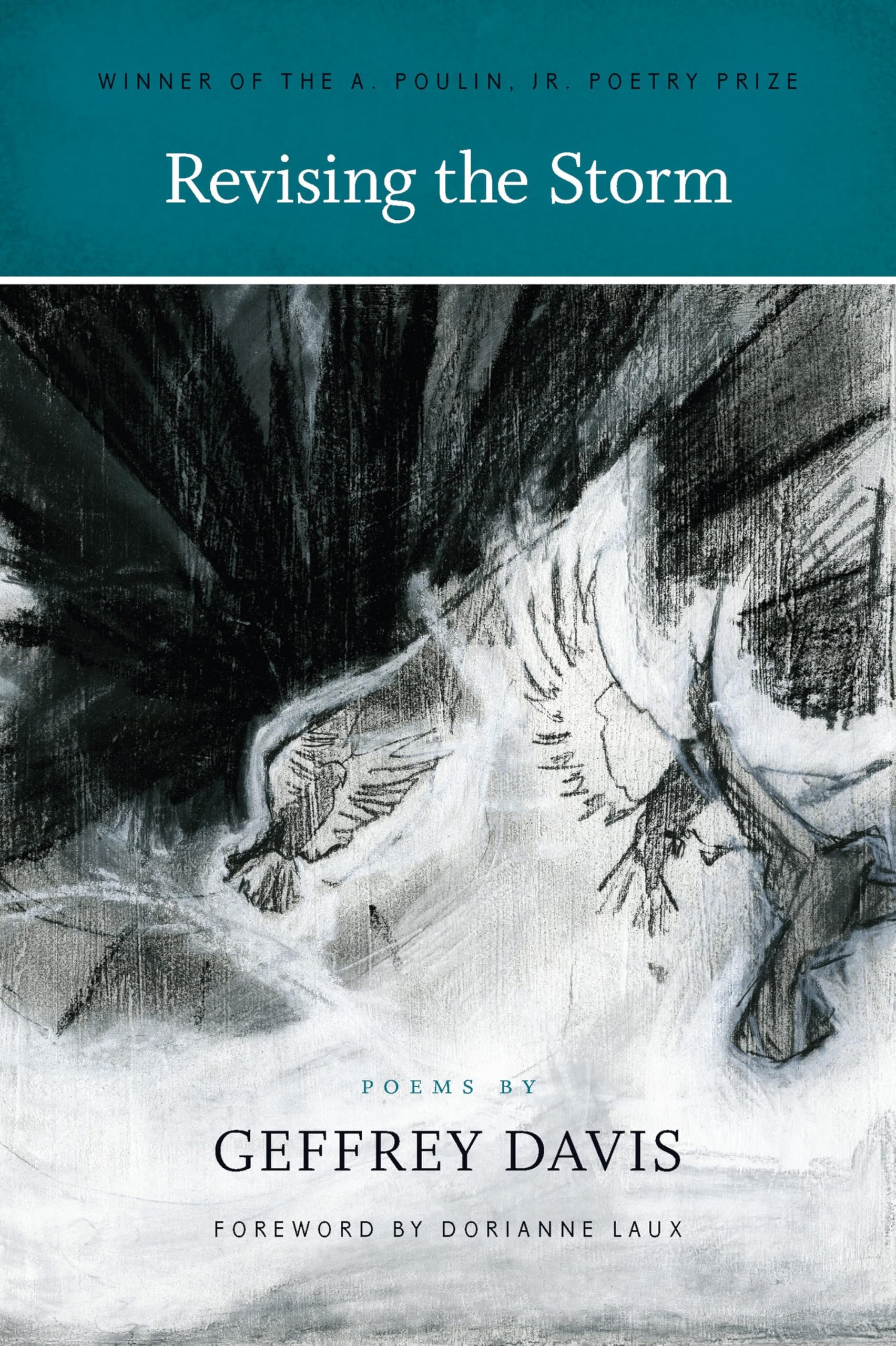 Revising the Storm by A. Poulin Jr. - New Poets of America Poetry Collection | Perfect for Literature Lovers & Creative Writing Inspiration