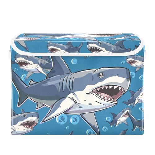 Lovely Shark