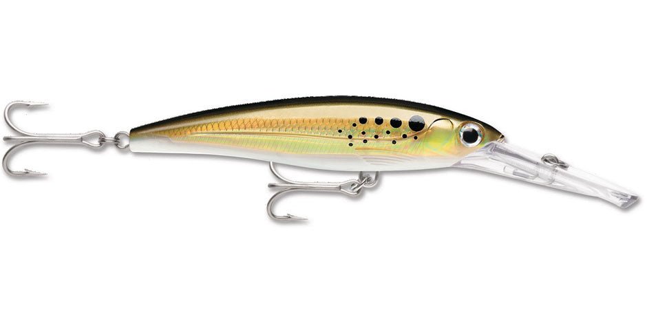 Blue Sardine