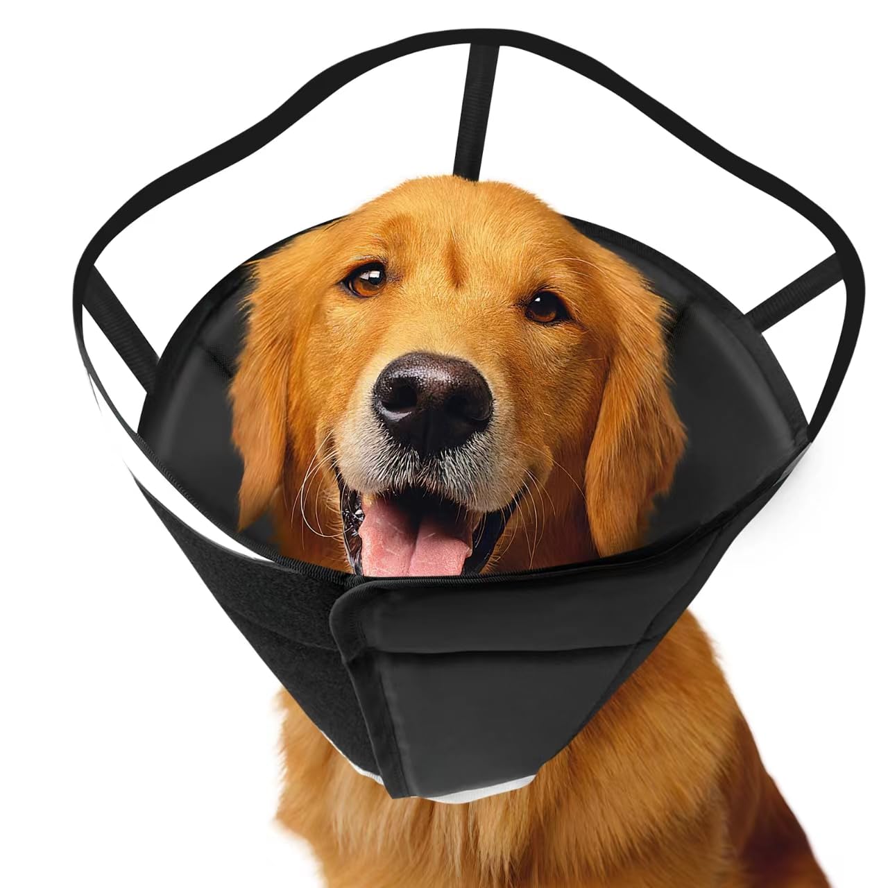 **Soft Adjustable Dog Cone Collar for After Surgery - Pet Recovery E-Collar for Large, Medium & Small Dogs & Cats - Wound Healing Protective Collar (L, Black) - Post-Surgery Care & Pet Safety**