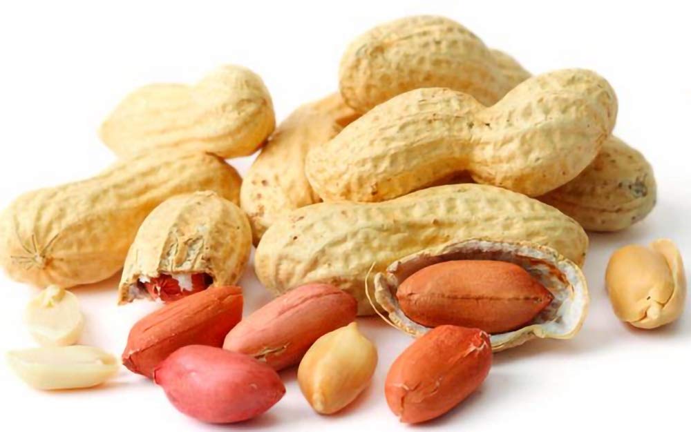 Premium Roasted Ground Peanuts Snack - Halal Certified, Fragrant & Crunchy (120g x 2 Packs) | Perfect for Tea Time, Office Snacks & Movie Nights | Malaysian Original Classic Hand Thumbs Brand