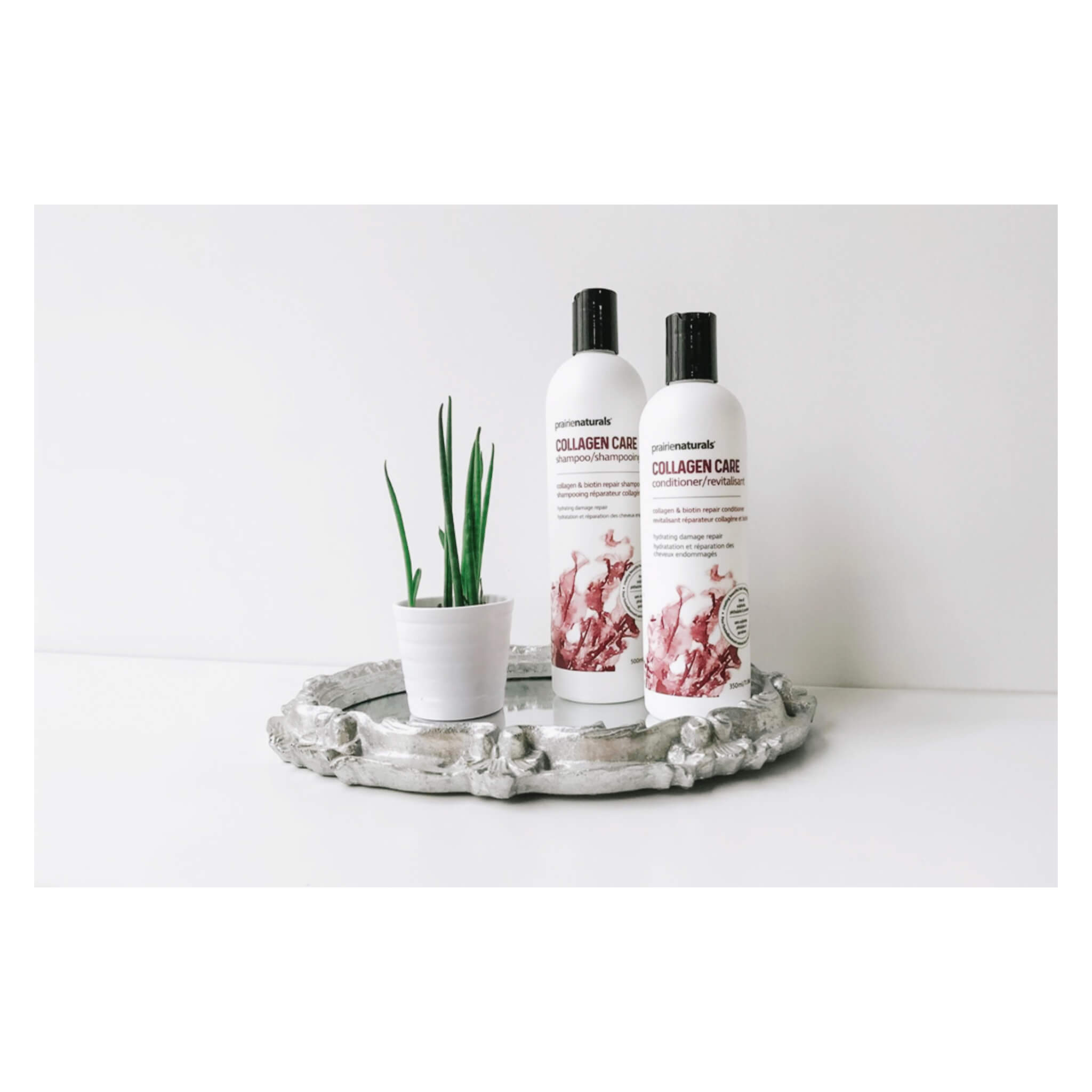 Marine Collagen & Biotin Repair Shampoo for Hair Growth - Hydrating & Strengthening Hair Care with Collagen & Biotin - Perfect for Damaged, Dry & Frizzy Hair - Salon Quality Treatment at Home