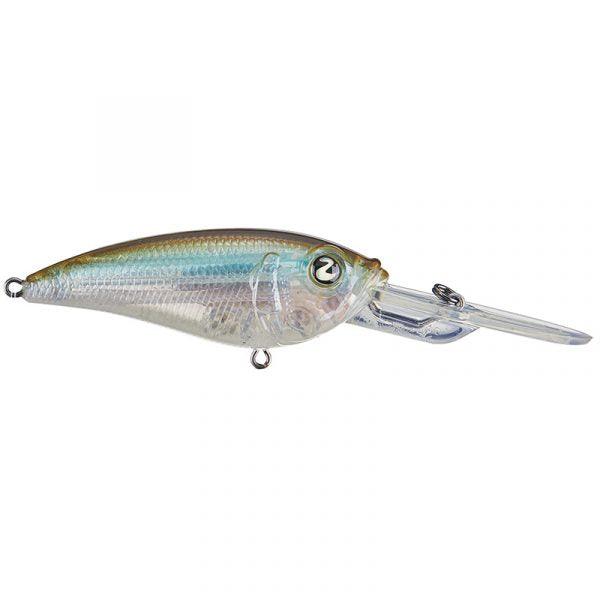 Clearwater Minnow