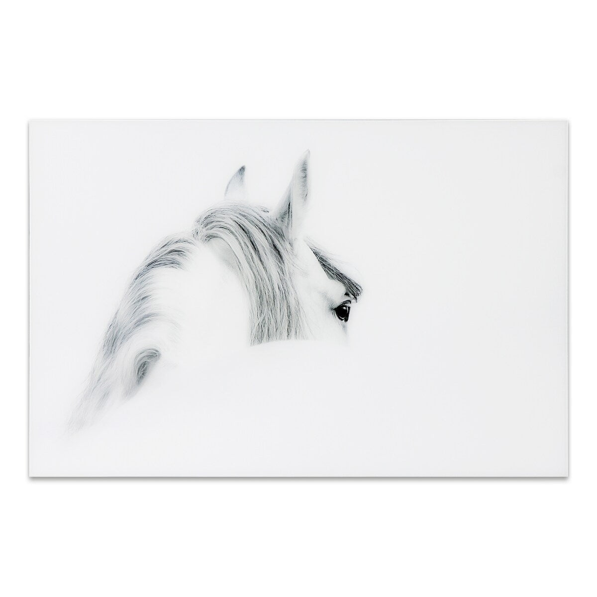 Blanco Mare Horse Frameless Floating Tempered Glass Wall Art - Modern Home & Office Decor for Living Room, Bedroom, or Office Spaces