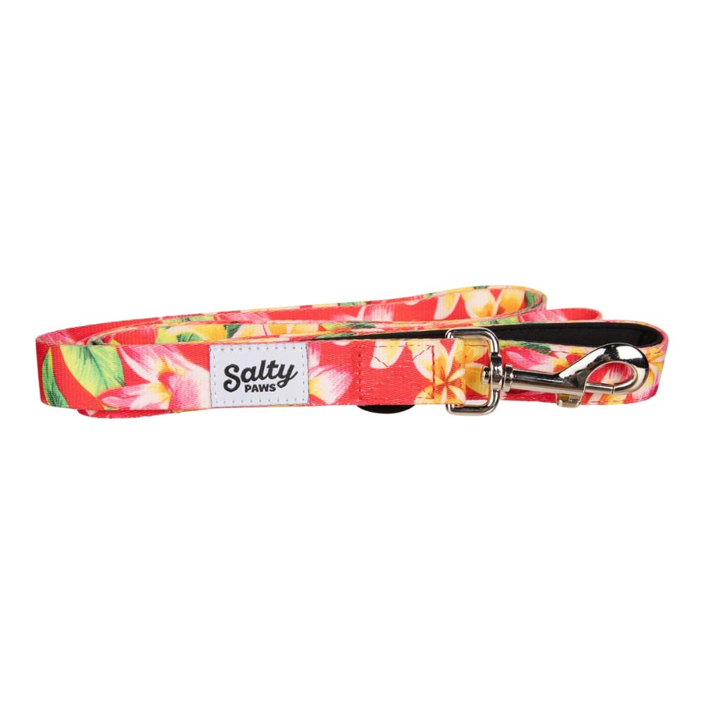 Salty Paws Floral Print Dog Leash with Padded Handle - Heavy Duty Pet Leash for Small, Medium & Large Dogs (6ft Large Size, Pink Floral Pattern, 50-90 lbs) - Perfect for Walks, Training & Outdoor Adventures
