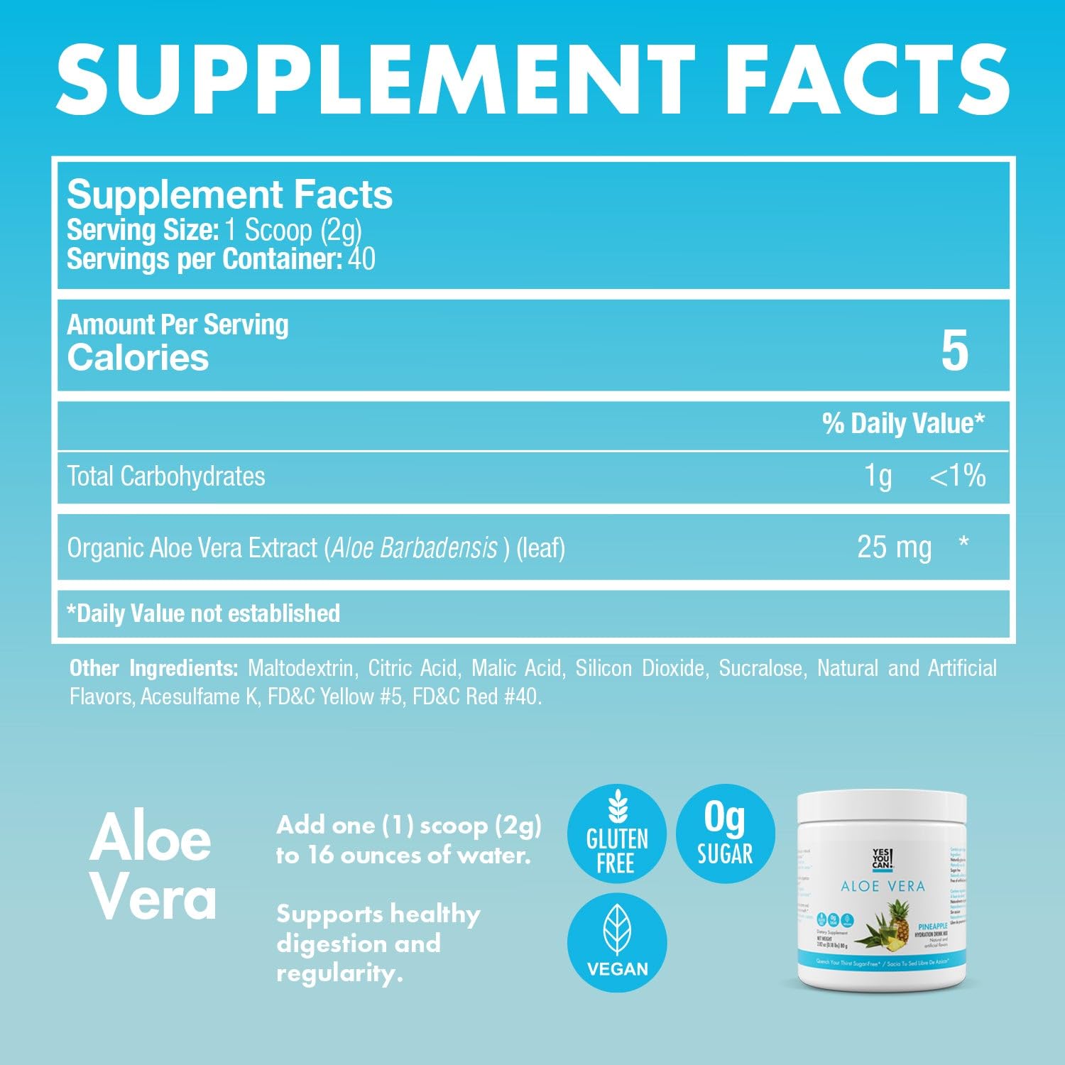 Yes You Can! Detox Plus Kit - Meal Replacement Powder (Dulce de Leche & Aloe Vera Hibiscus Flavors), High Energy Shake Booster & Detox Supplement for Weight Management & Wellness | Perfect for Busy Lifestyles, Post-Workout Recovery & Healthy Meal Alternatives