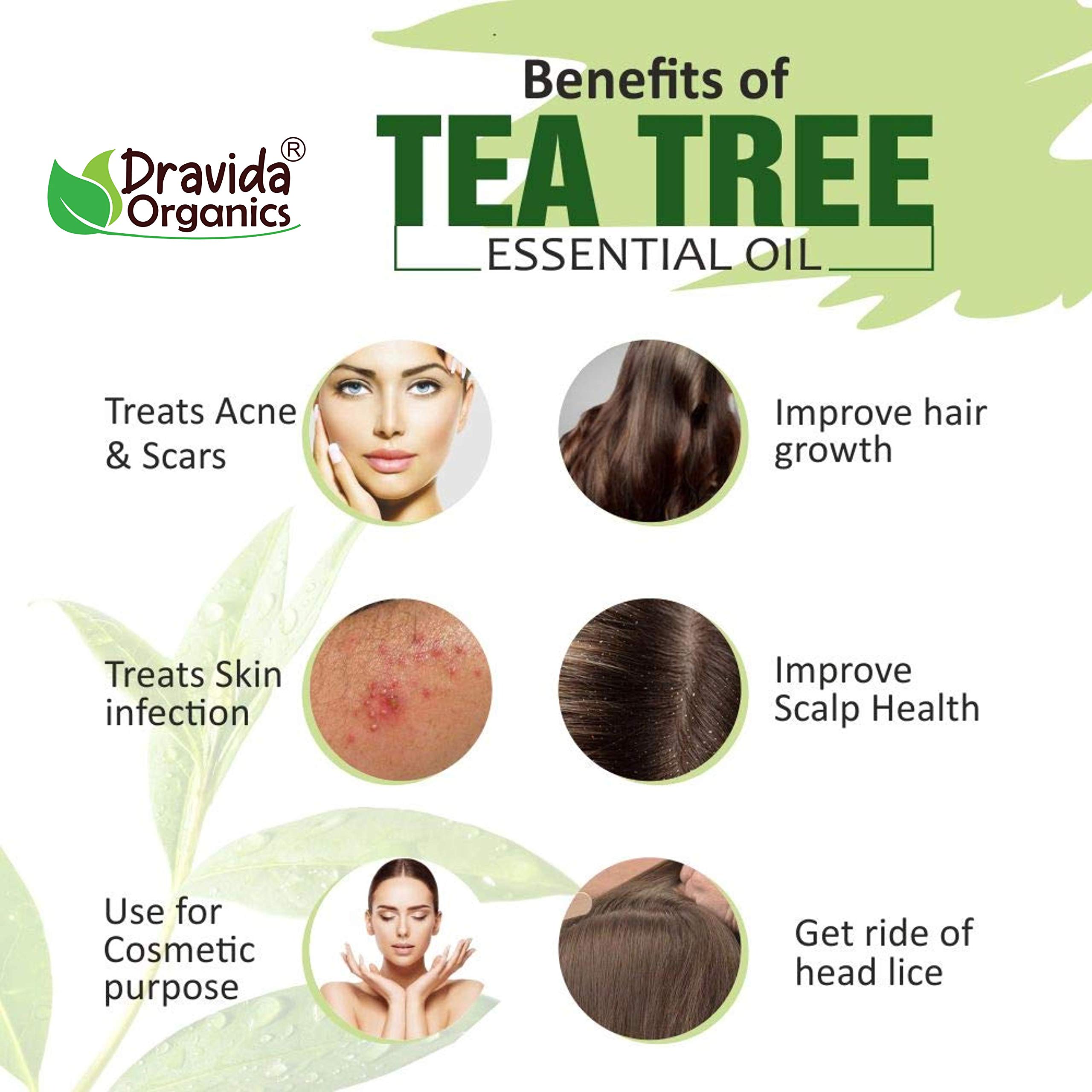 Dravida Organics Tea Tree Essential Oil - 100% Pure & Organic for Aromatherapy, Skin Care, Hair Growth - Natural Remedy for Acne, Dandruff, Stress Relief - 15ml Bottle - Perfect for Diffusers, Massage, DIY Beauty Products