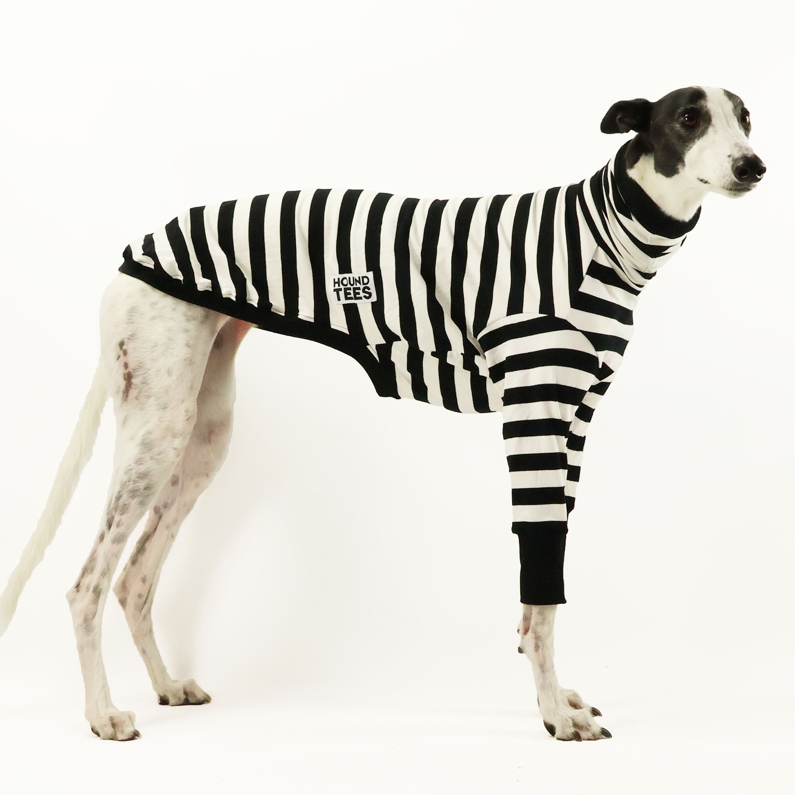 Jailbreak Greyhound Long Sleeve Hound T-Shirt - Comfortable Dog Lover Apparel for Casual Wear & Outdoor Activities