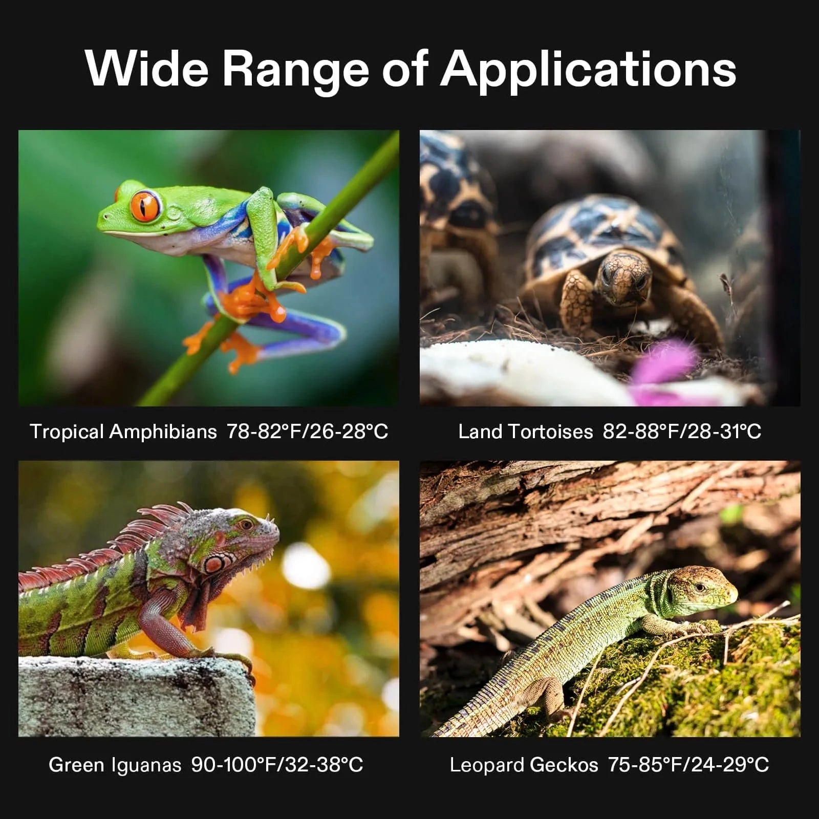 Vivosun 6 x 8 Inch Reptile Heat Mat with Digital Thermostat Combo - Perfect for Terrariums, Snake Tanks & Lizard Habitats