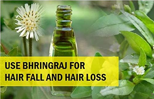 Khadi Rishikesh Ayurvedic Bhringraj Herbal Hair Oil - 100% Natural Hair Growth Treatment with 8 Pure Herbs | Controls Hair Fall, Strengthens Hair | Paraben-Free for Women & Men (210ml) | Free Keychain Included | Perfect for Daily Hair Care & Scalp Massage