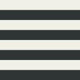 Black/White Stripes