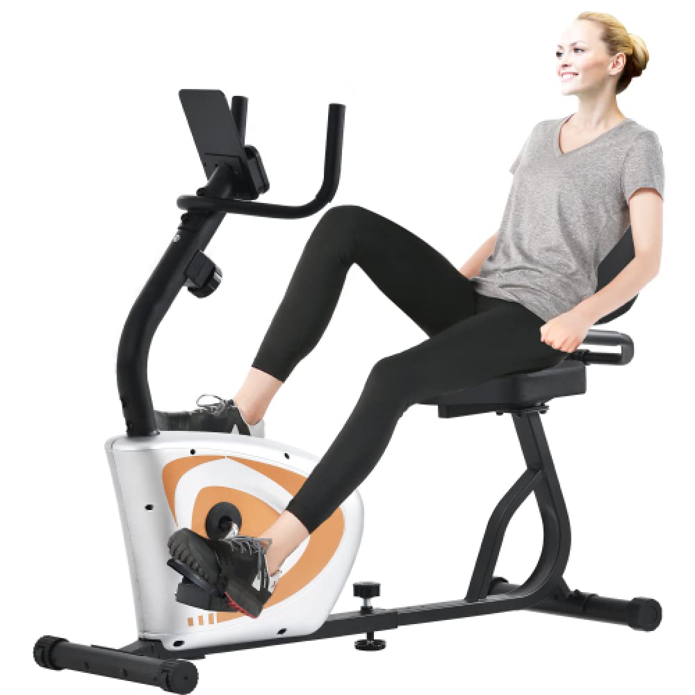EVOOK Magnetic Recumbent Exercise Bike - 8-Level Adjustable Resistance, Digital Monitor & Quick-Adjust Seat for Home Fitness | Ideal for Seniors, Physical Therapy & Low-Impact Workouts