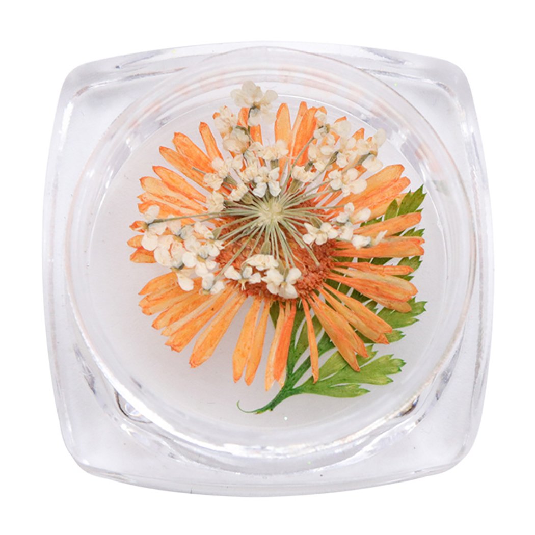 CACAZI Natural Dried Flowers for Nails - DIY Nail Art Accessories Kit with Dried Flower Petals & Stones - Perfect for Manicure, Nail Decoration & Creative Nail Designs at Home or Salon