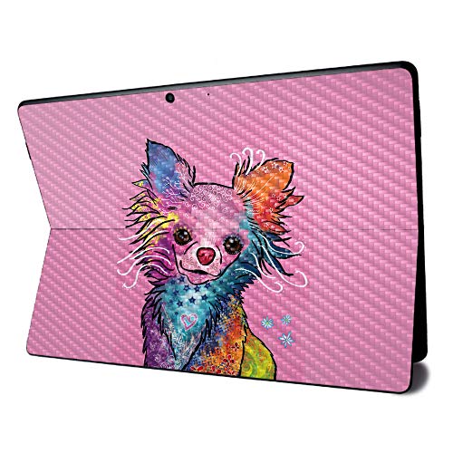 Chihuahua Rainbow