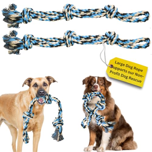 2 Pack Blue