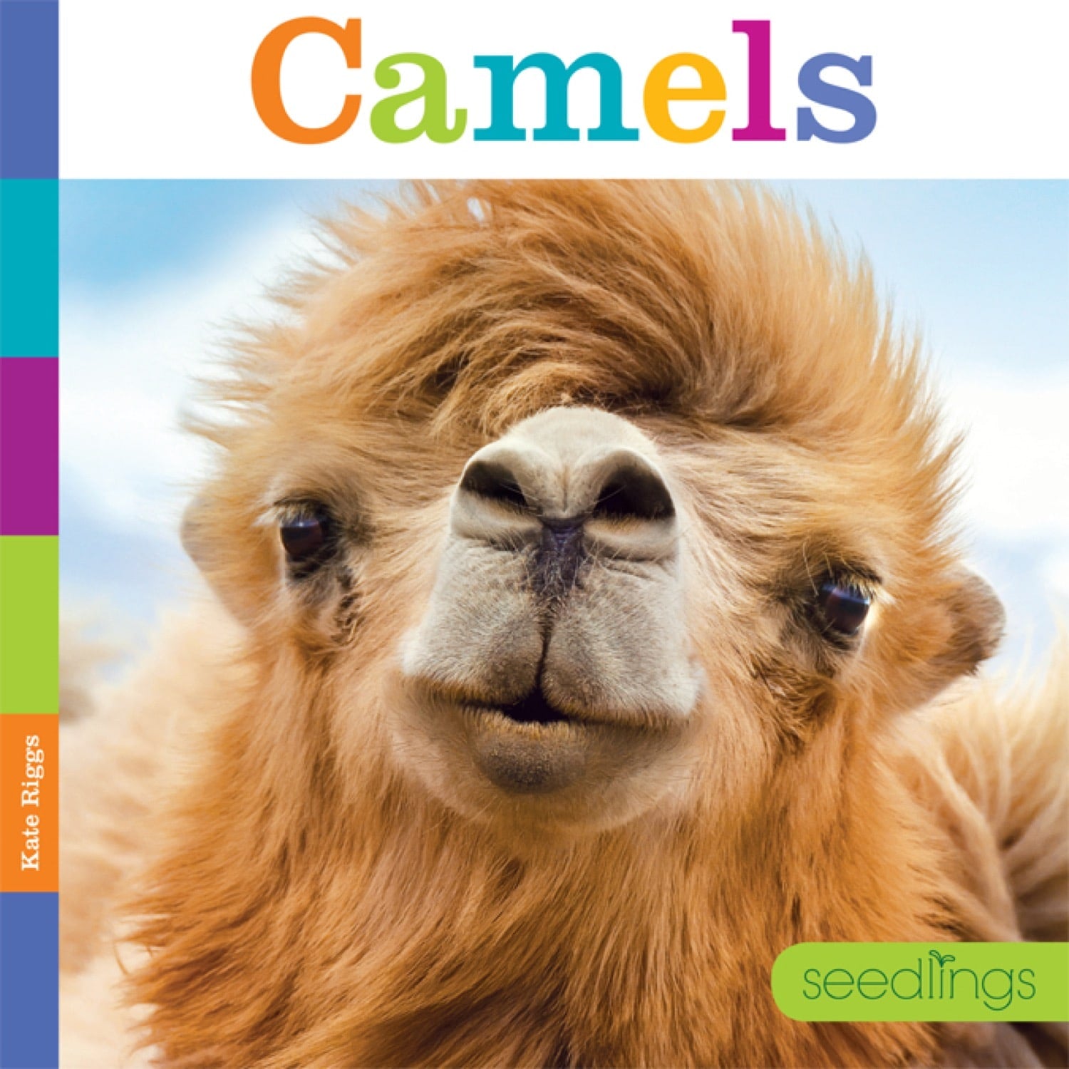 Camels Book - ISBN 9781608185139 - Perfect for Animal Lovers & Desert Adventure Enthusiasts