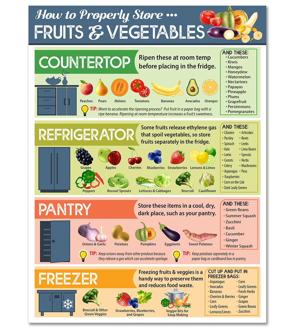 Best Vegetable and Fruit Storage Magnets for Fridge - 6x8 Inch Kitchen Cheat Sheet Magnet Guide - Produce Storage Chart for Freshness | Perfect for Home Kitchens, Grocery Stores & Meal Prep Organization