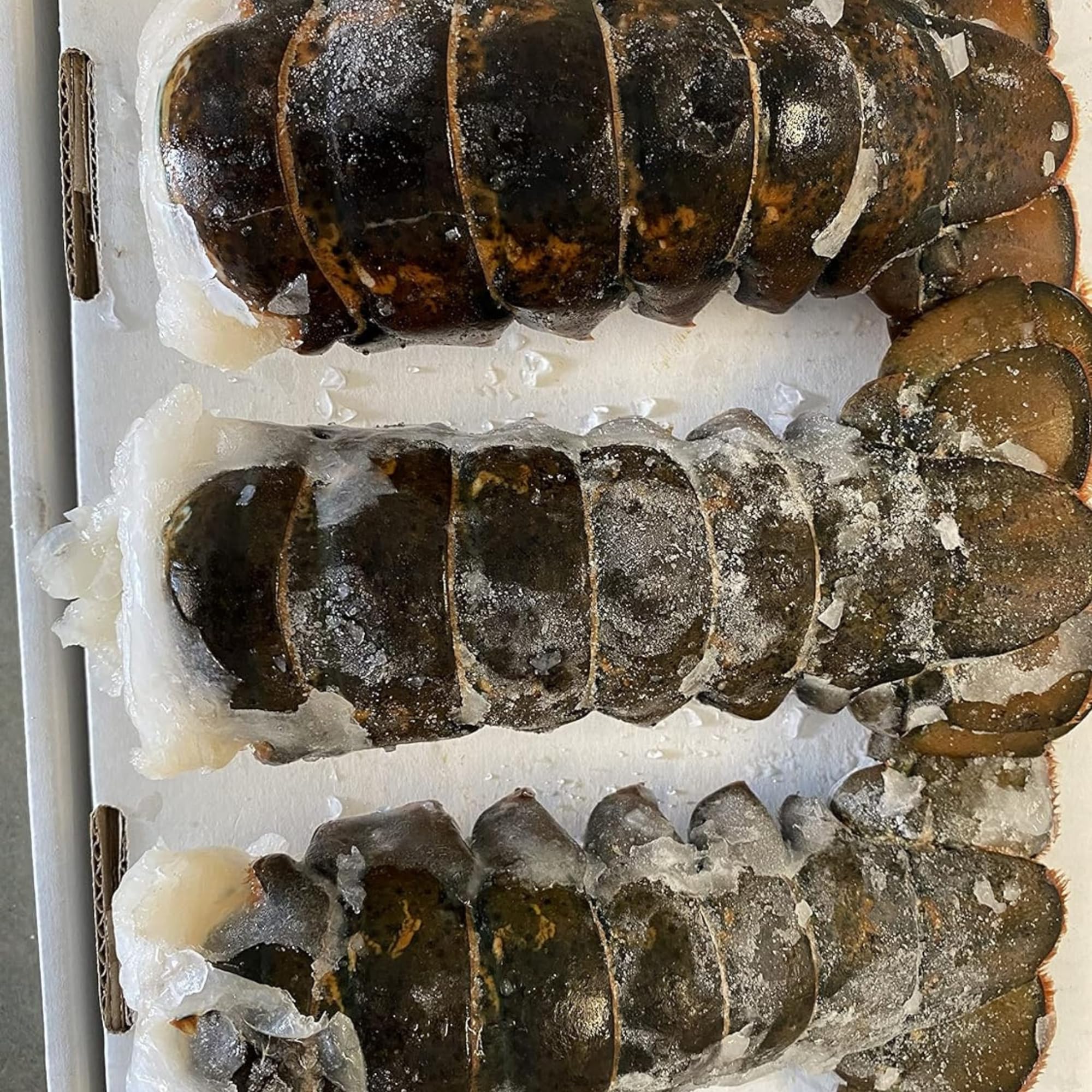 Premium Maine Lobster Tails 12-14oz (4 Pack) – Fresh Frozen Seafood for Gourmet Cooking, Special Occasions & Fine Dining at Home