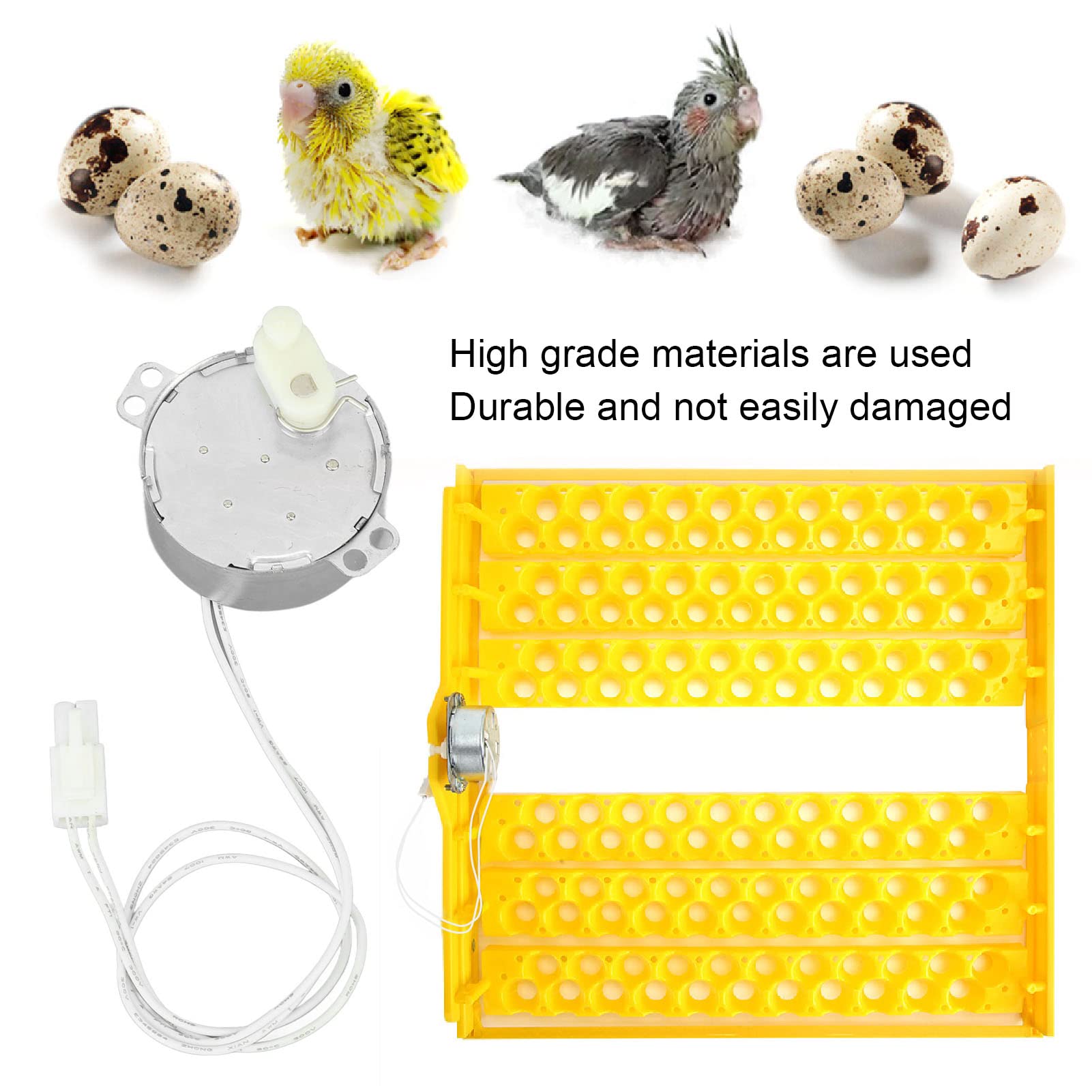 FLEXMAN 4W Aluminum Egg Turner Rotator Motor - Professional Electric Synchronous Motor with Connector for Poultry Incubators (100-120V) - Perfect for Chicken, Duck & Quail Egg Hatching